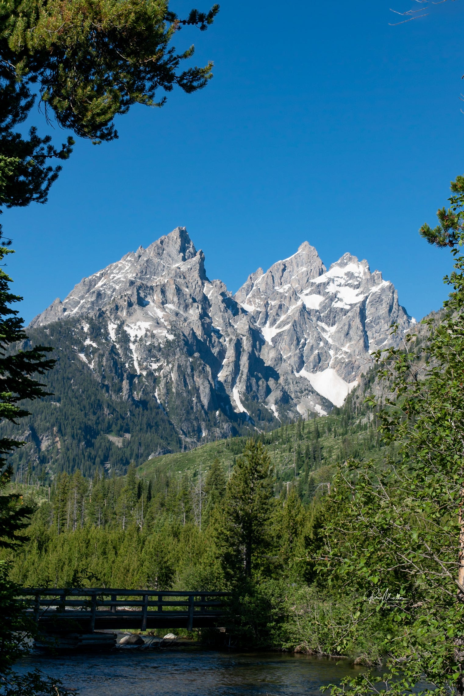 View of the Tetons from Jenny Lake Trail
