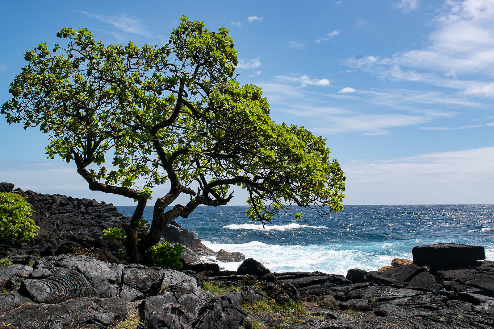 Coastal Paradise Park, Hawaii