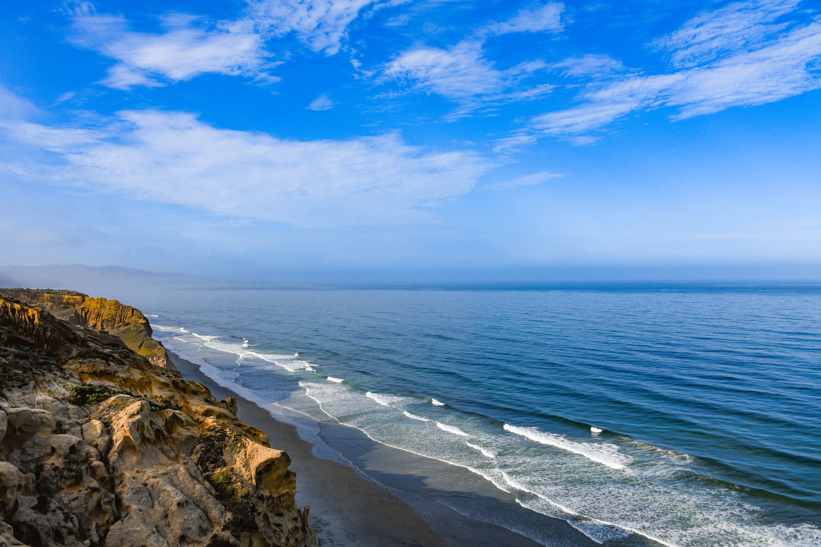 Torrey Pines Reserve Vista
