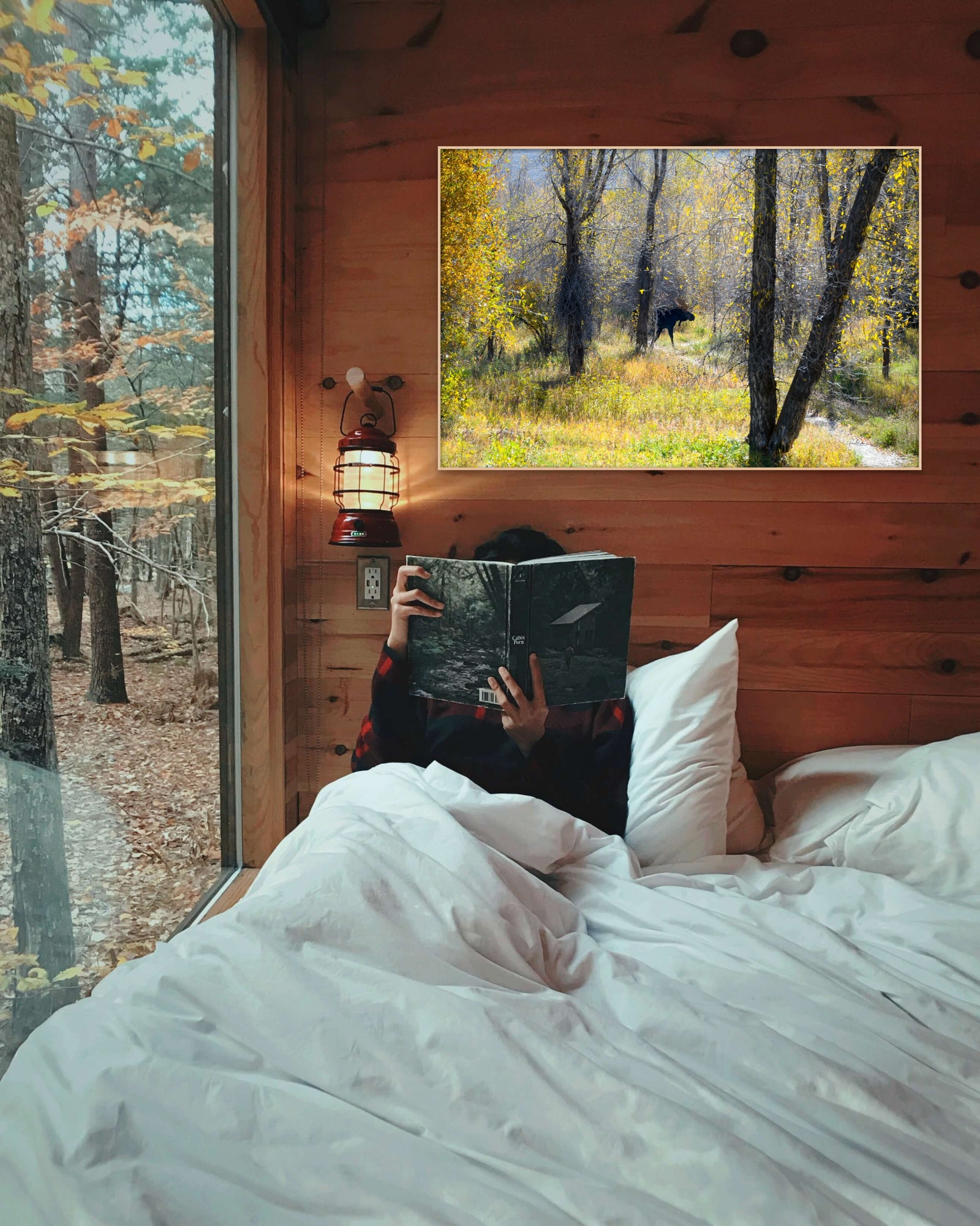 Moose in Yellowstone Autumn Colors