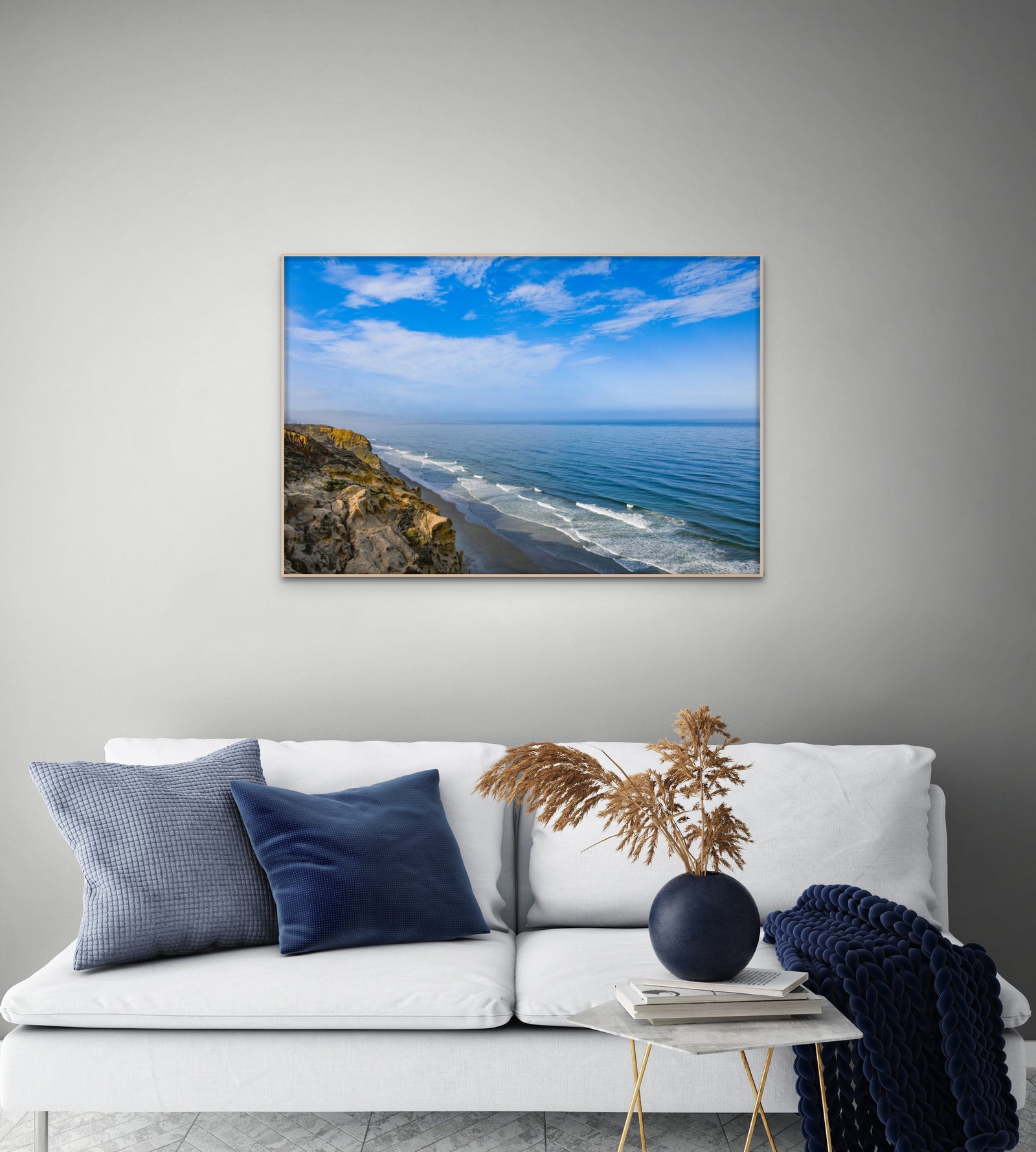 Torrey Pines Reserve Vista