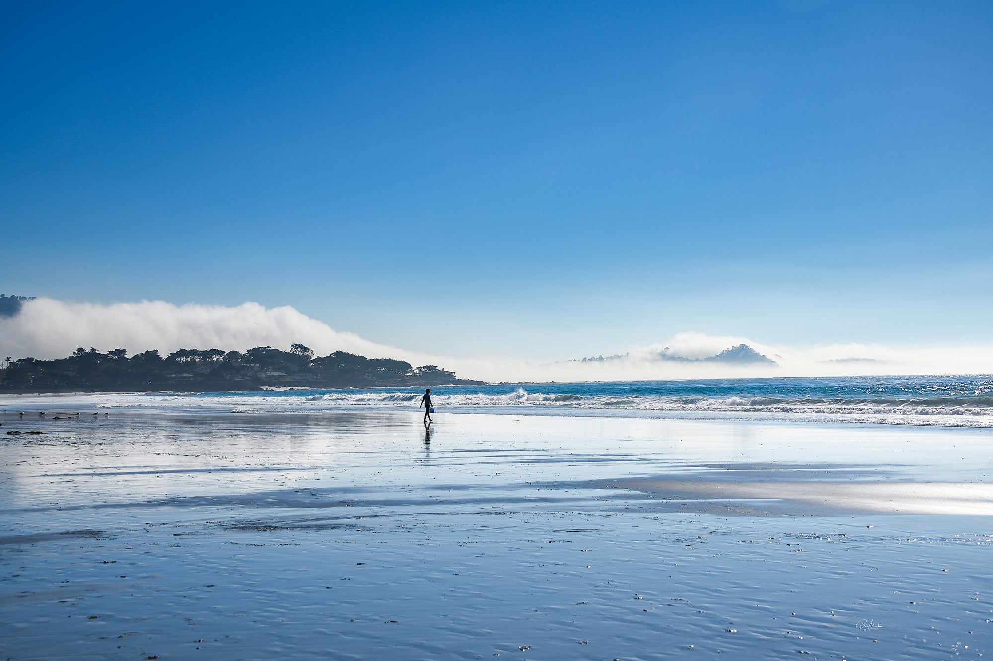 Walking the Beach Special Offer