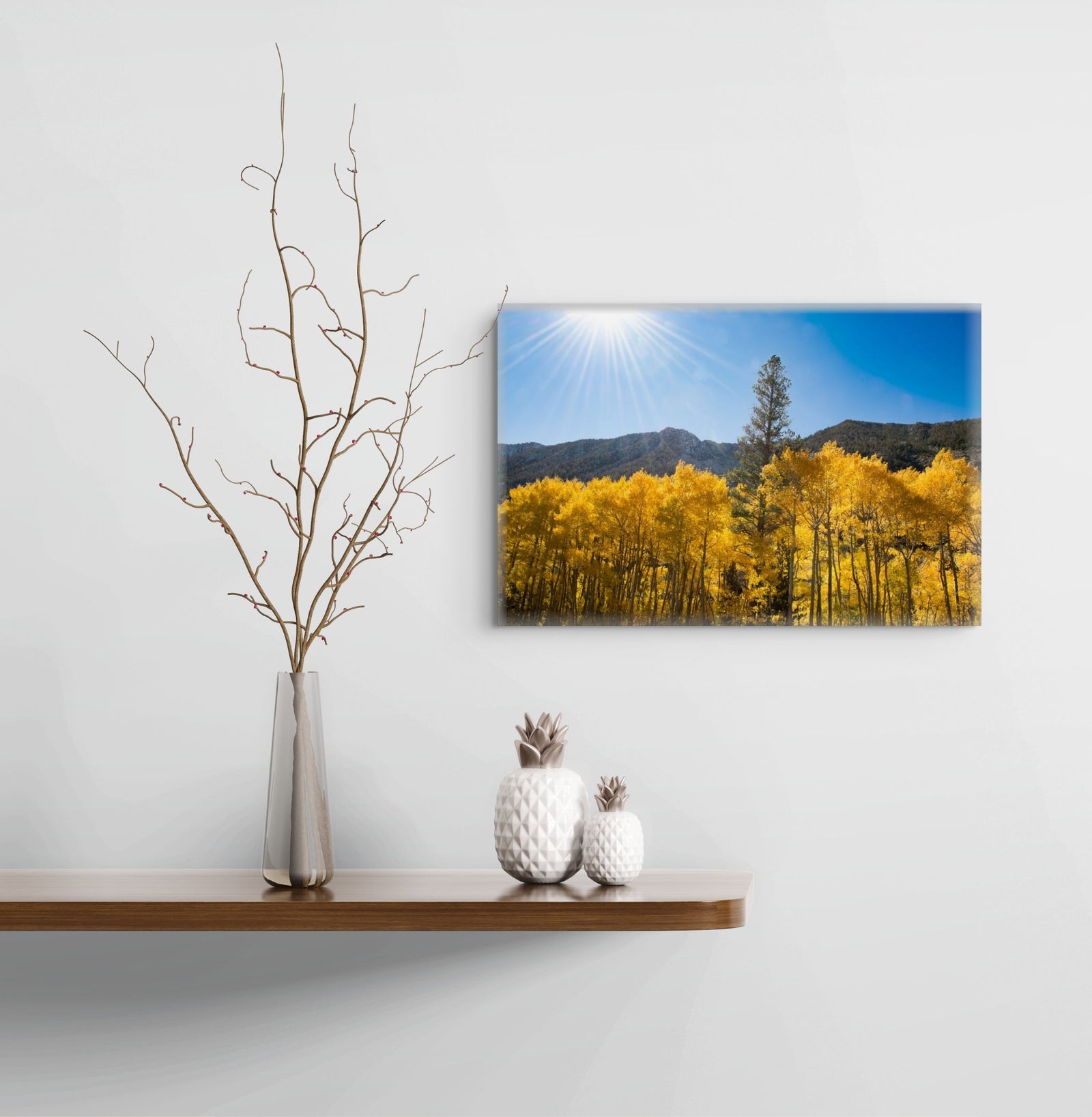 Lone Pine in the Aspens