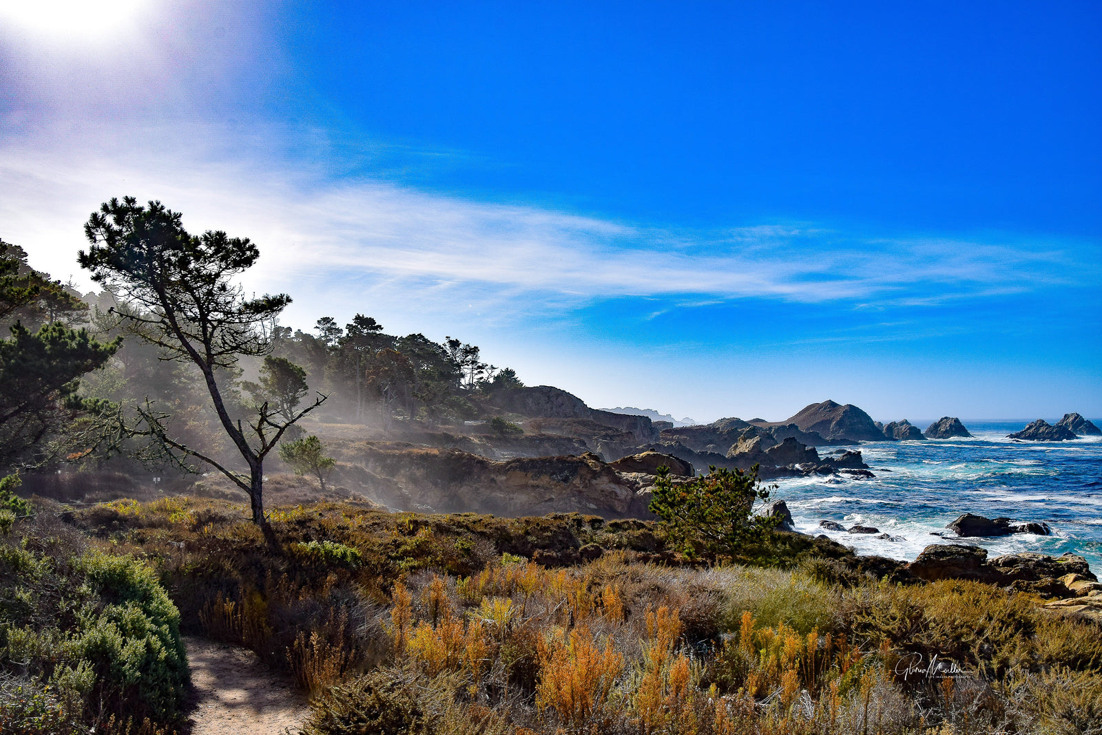 Misty Path at the Big Sur Coast