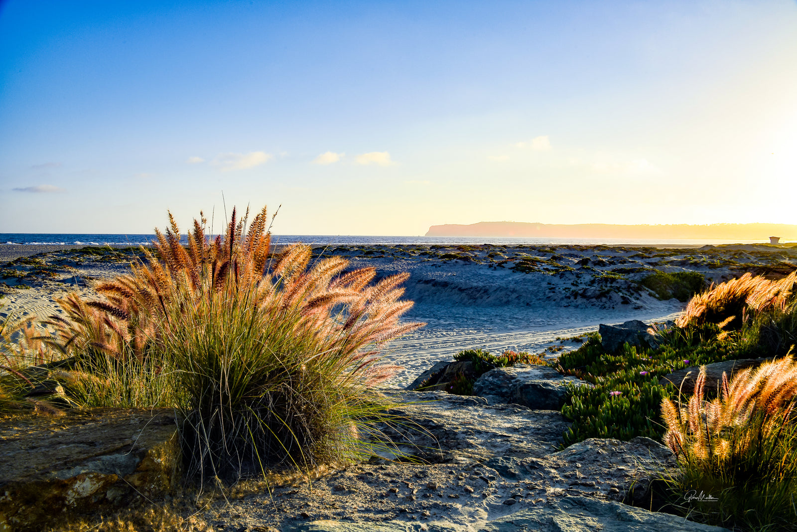 Point Loma in the Distance