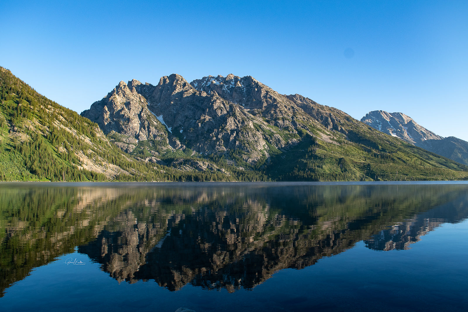Still Water Reflection at Jenny Lake
