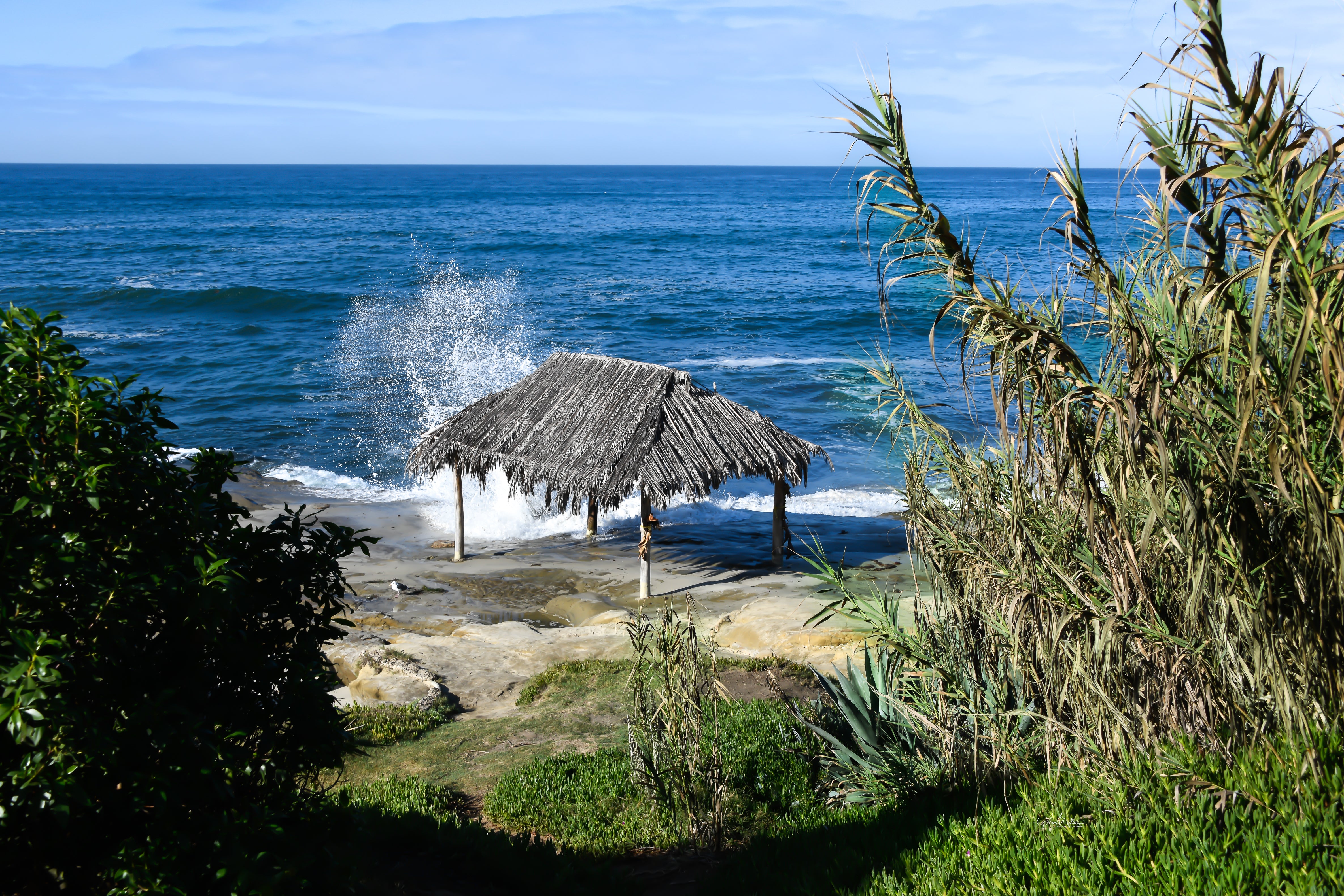 SurfShackandWave_GVM1506-