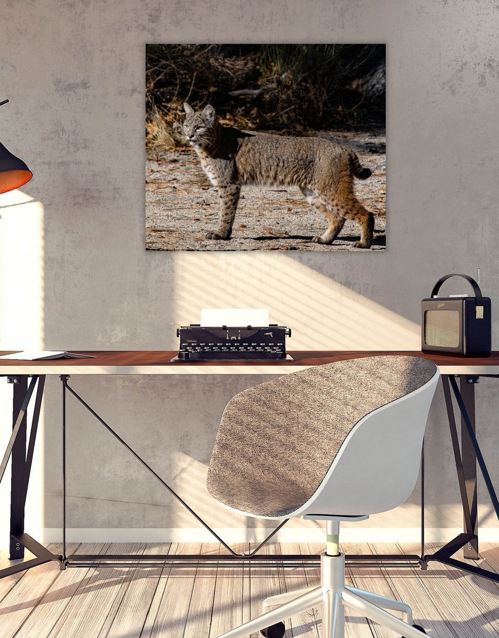 A Bobcat Stalking its Prey in Yosemite Valley