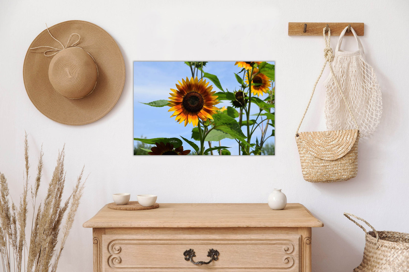 Brilliant Two-toned Sunflower