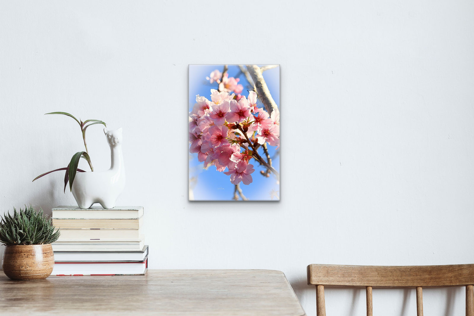 Cherry Blossoms Soft Focus