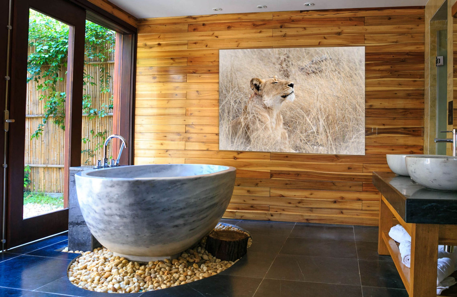 Dozing Lion at Mala Mala