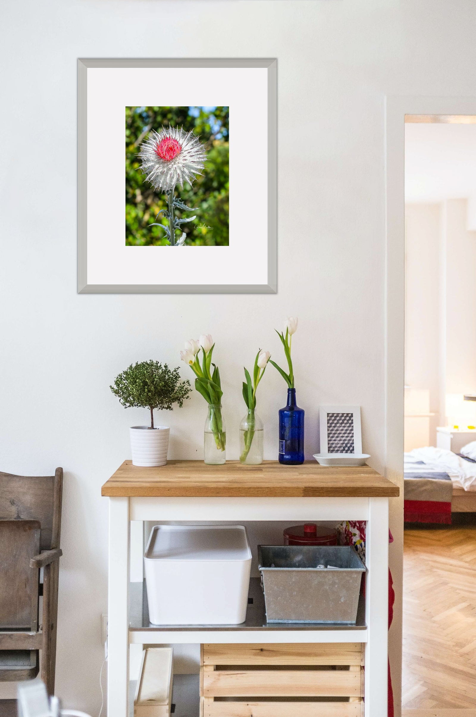 Dried Red Thistle Bloom