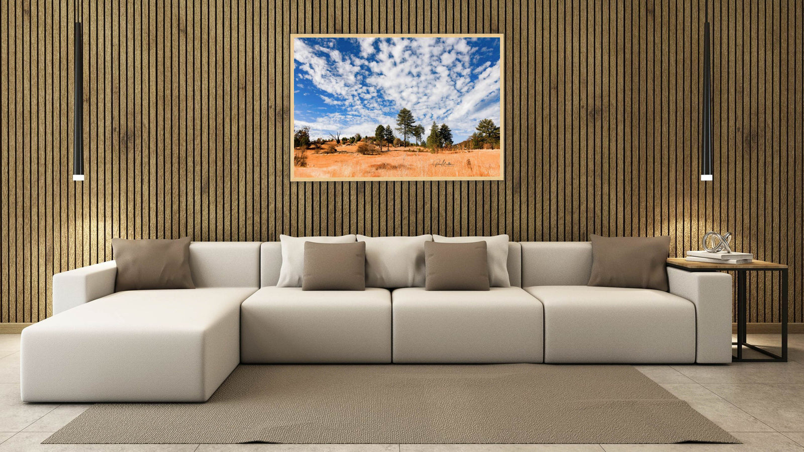 Fall Grass and Puff Clouds