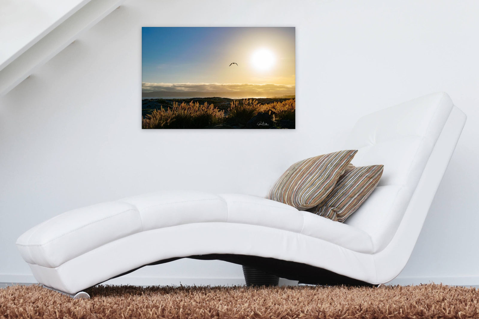 Feather Grass and a Seagull at the Beach
