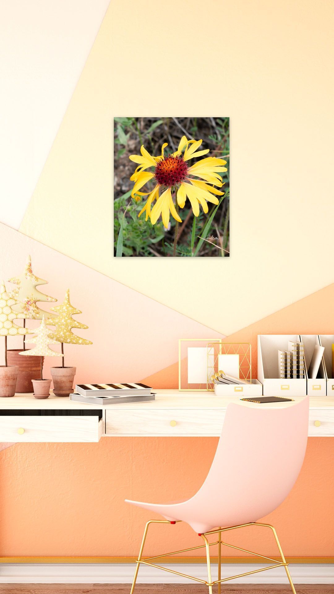 Lanceleaf Blanketflower