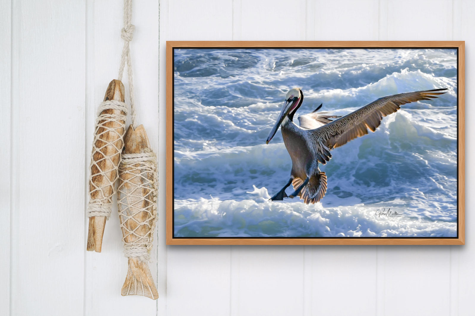 Pelican Landing on a Cliff
