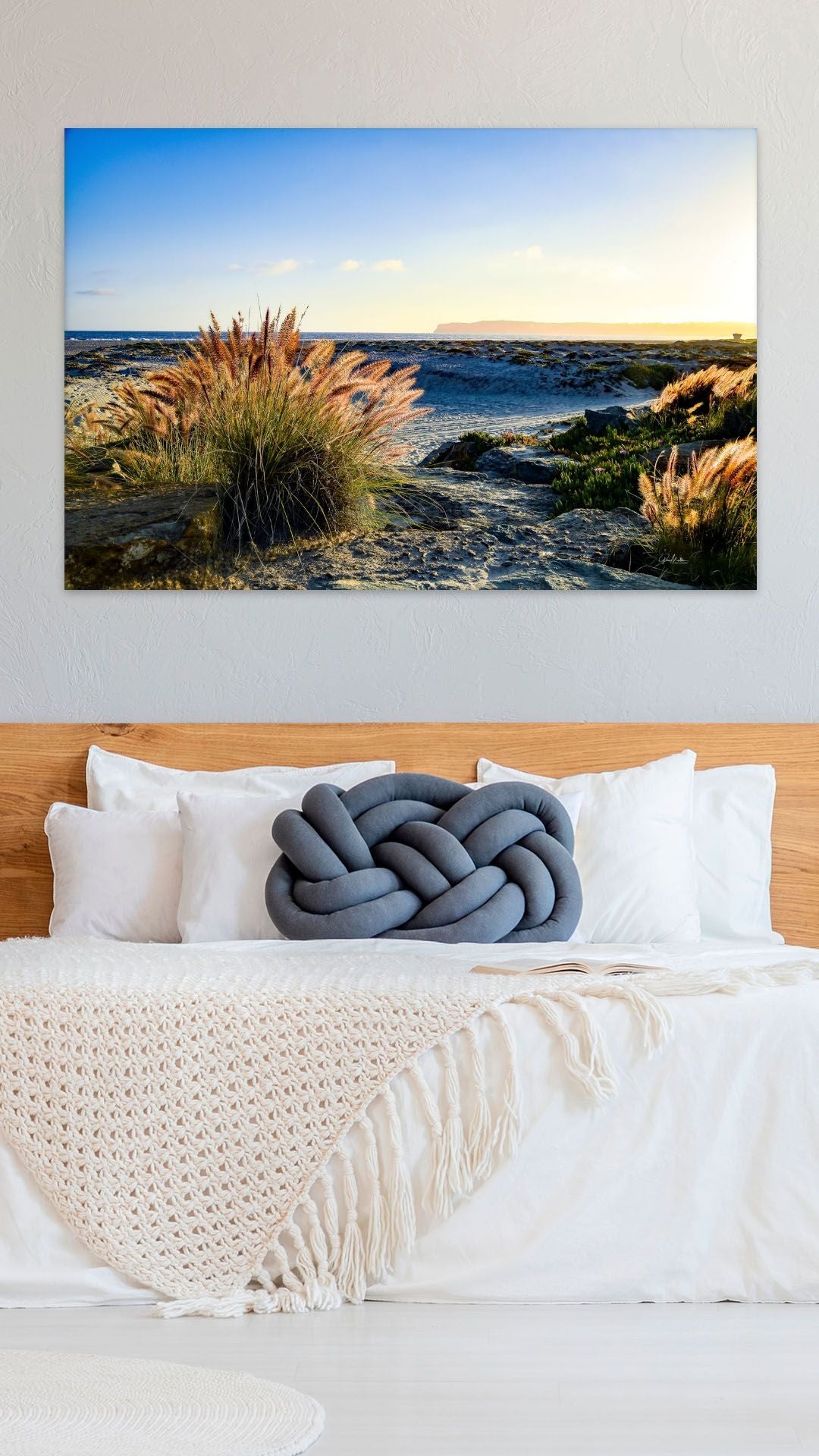 Point Loma in the Distance