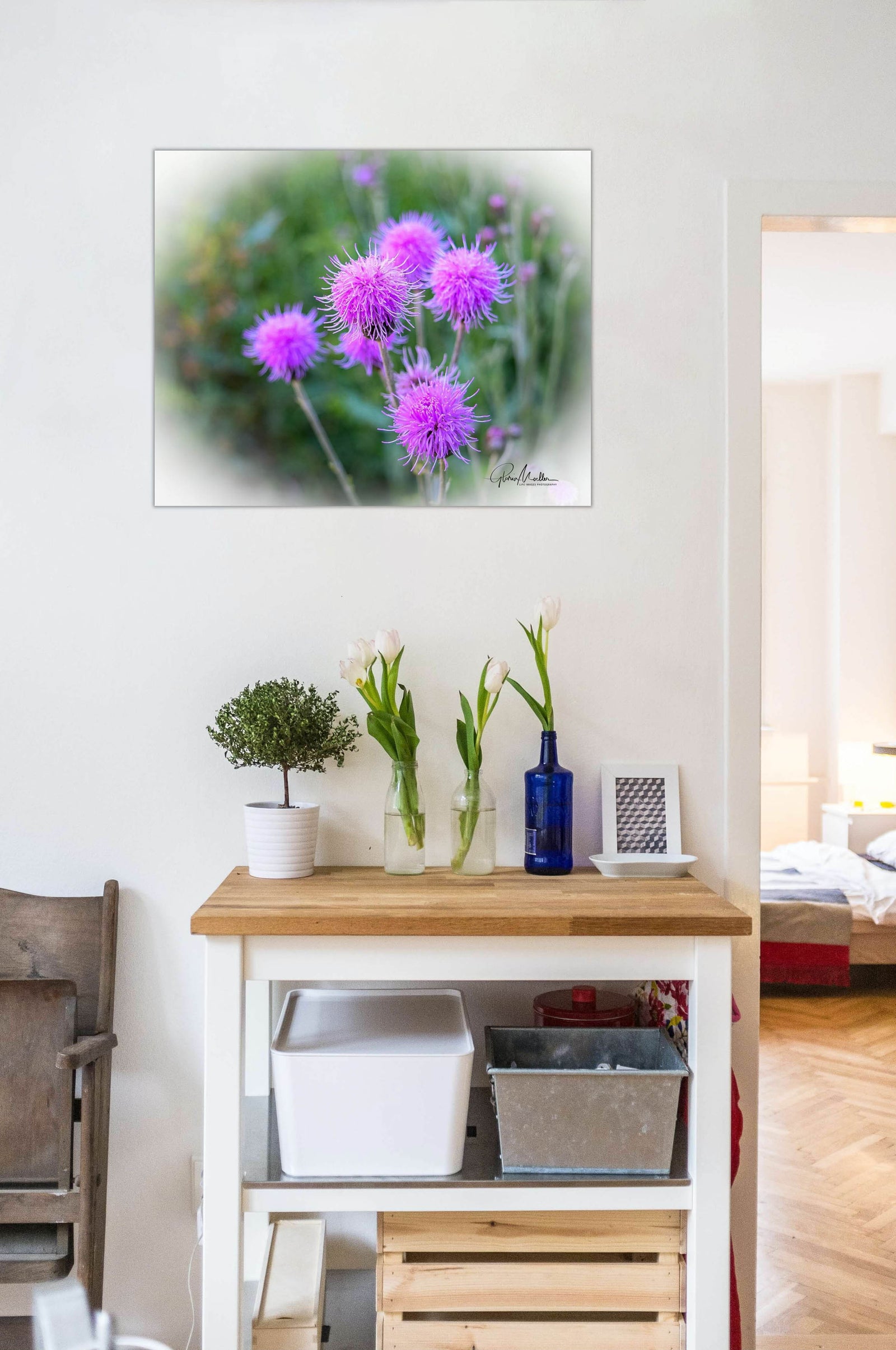 Purple Thistle Blooms