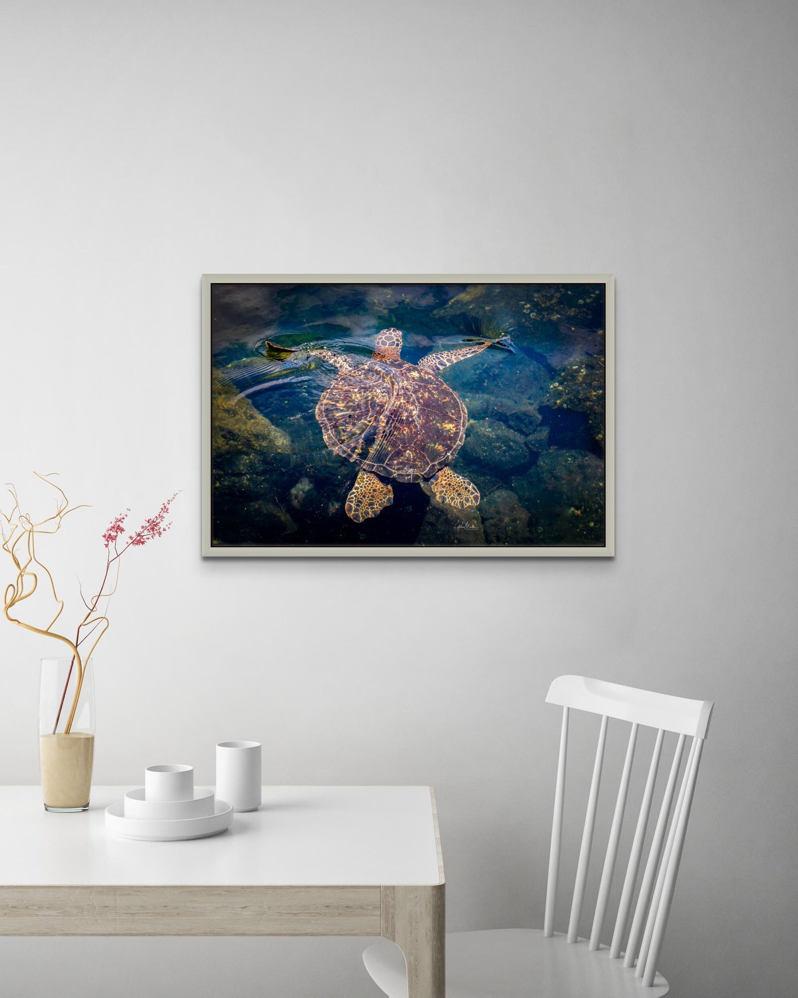 Sea Turtle Patterned Shell and Flippers