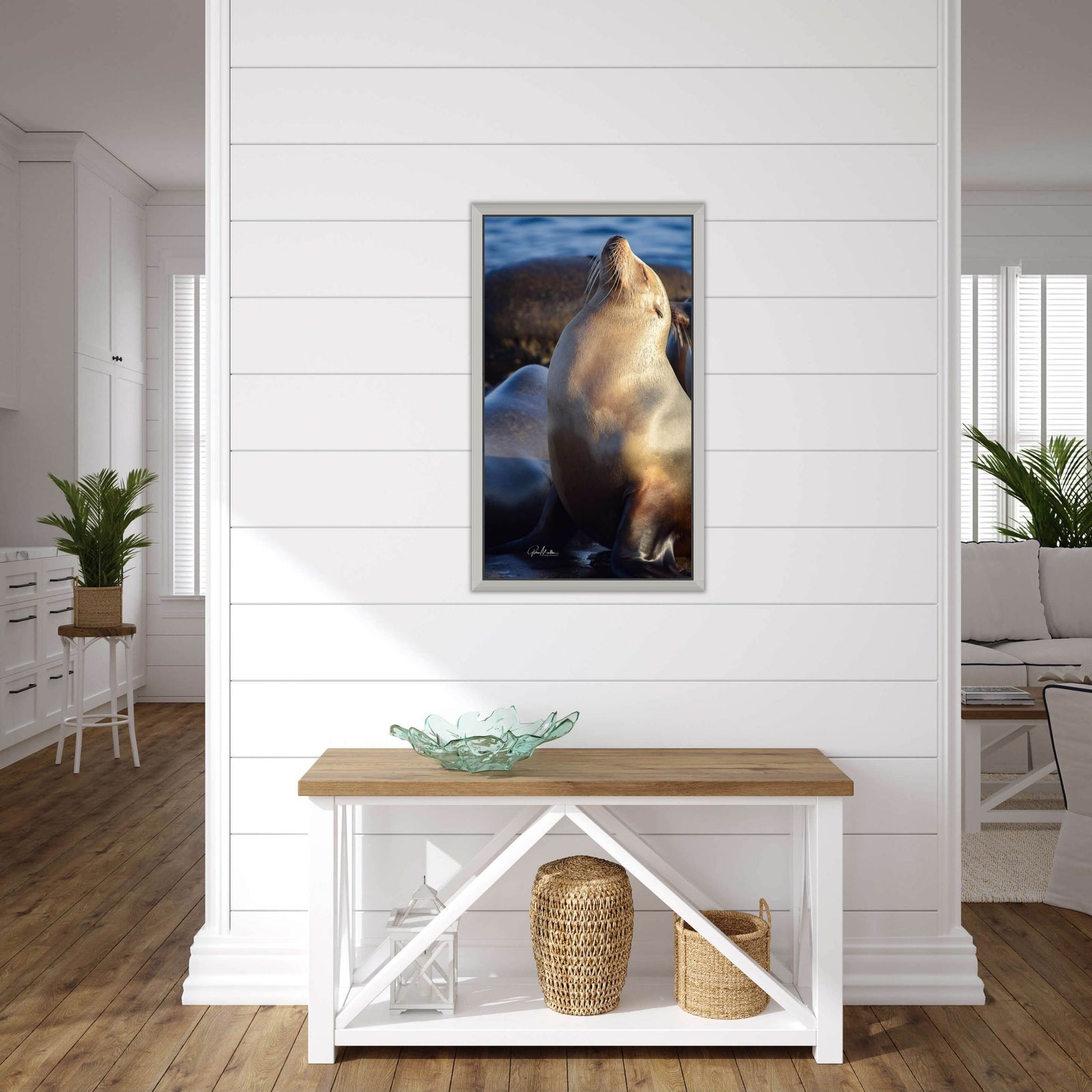 Sun Worshipping Sea Lion