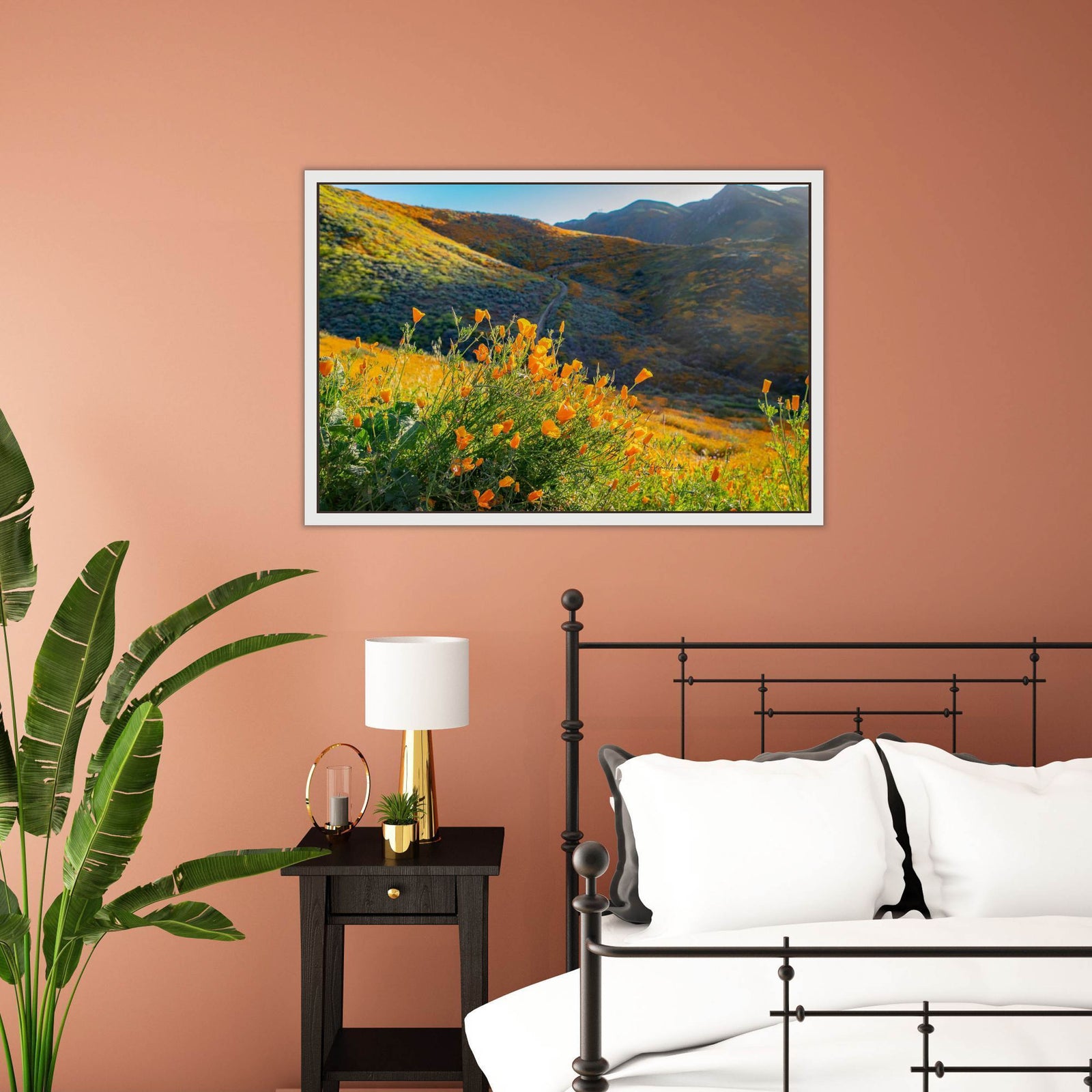 Sunlit Poppies at  Walker Canyon