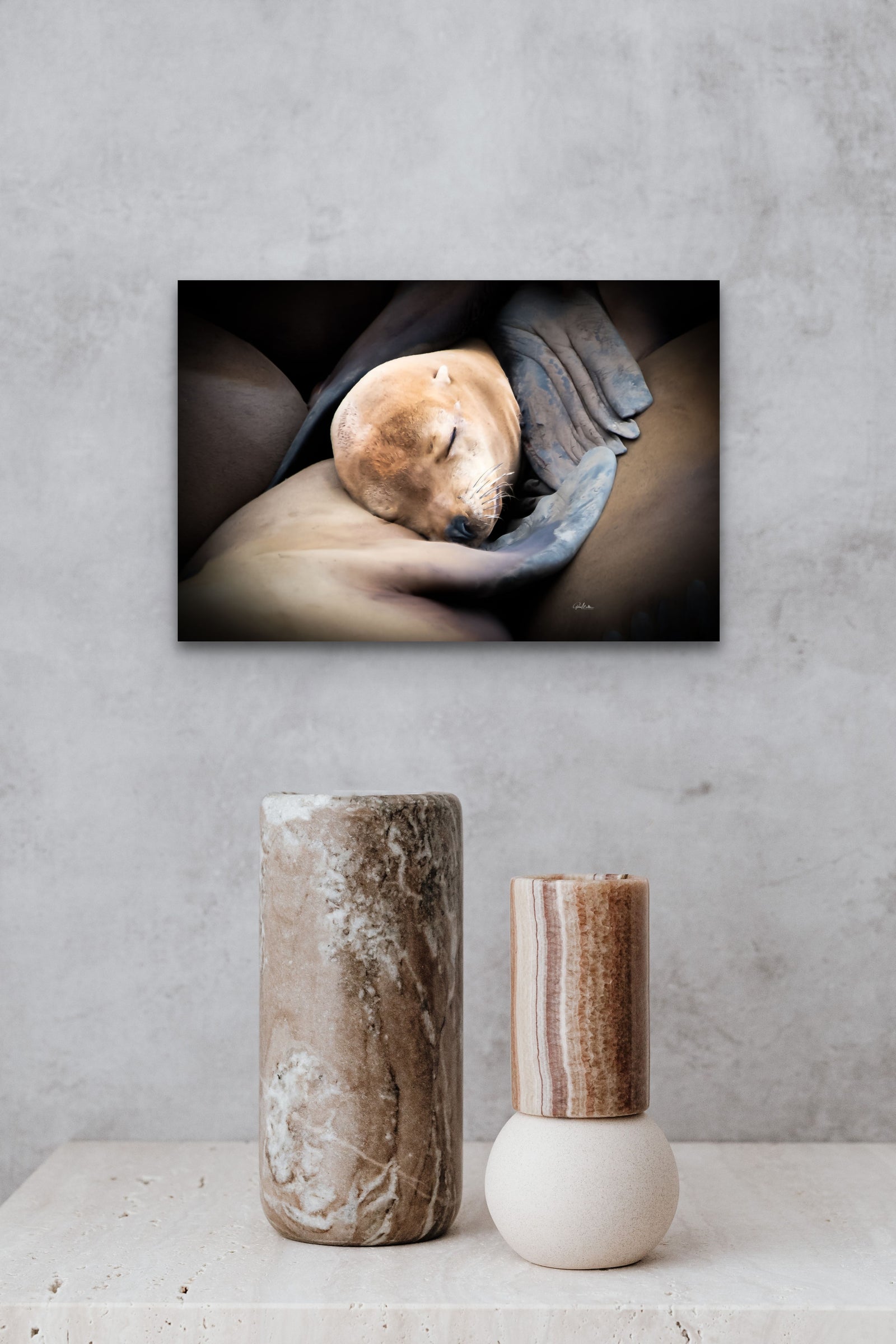 Swaddled in Flippers