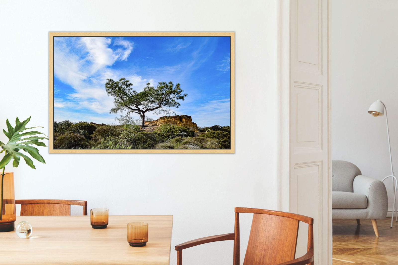 Torrey Pine and Sandstone Cliffs
