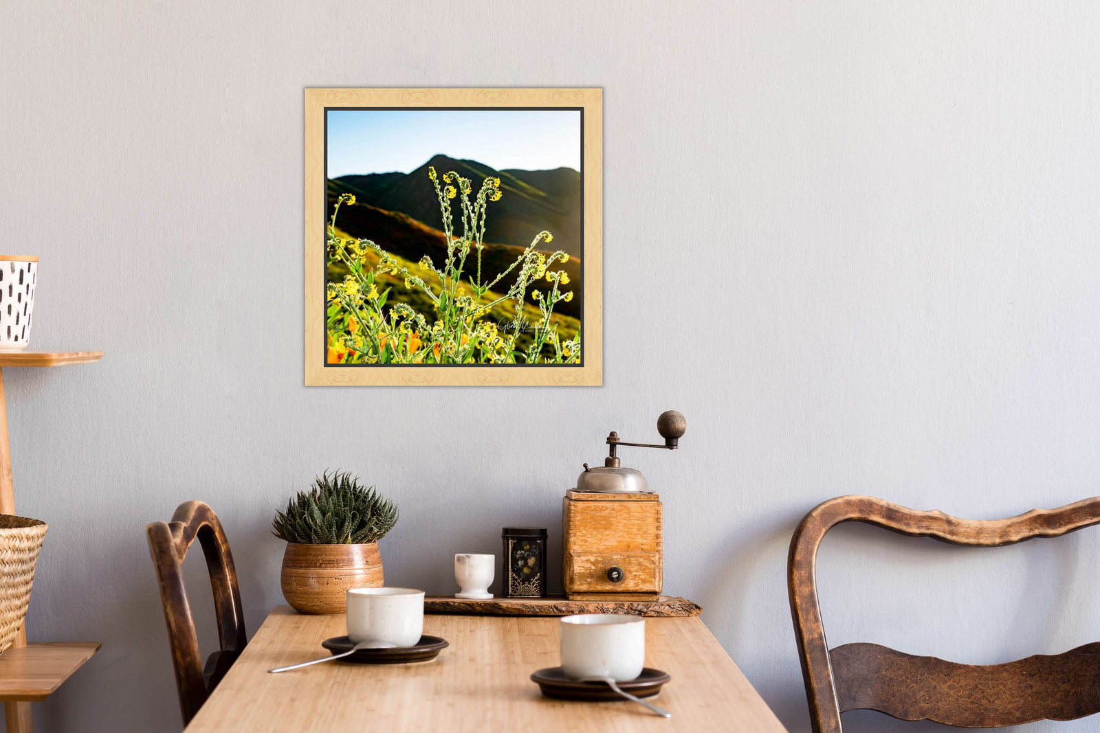 Unfurling Ferns at the Poppy Fields