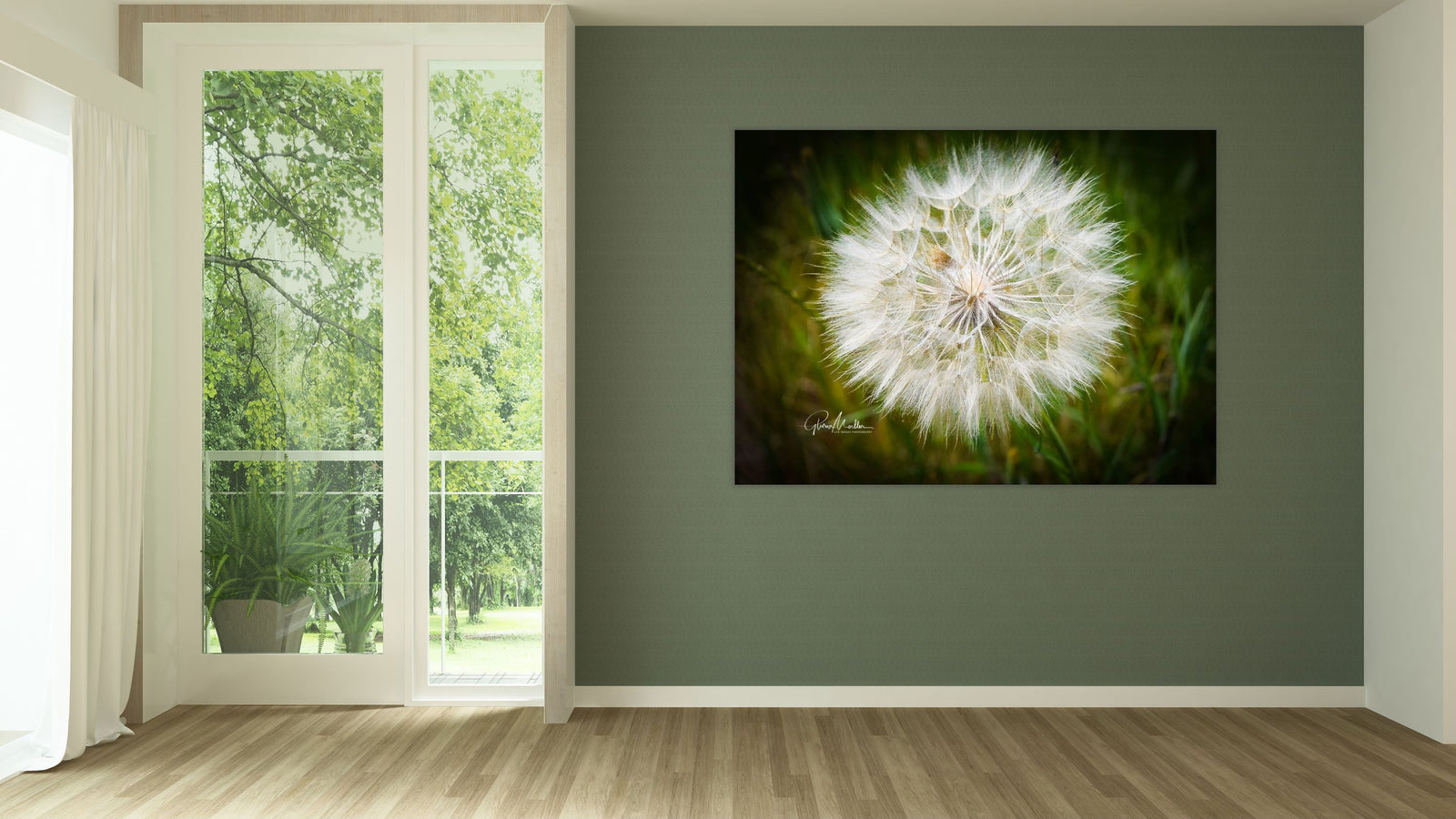 Wallflower Gone to Seed