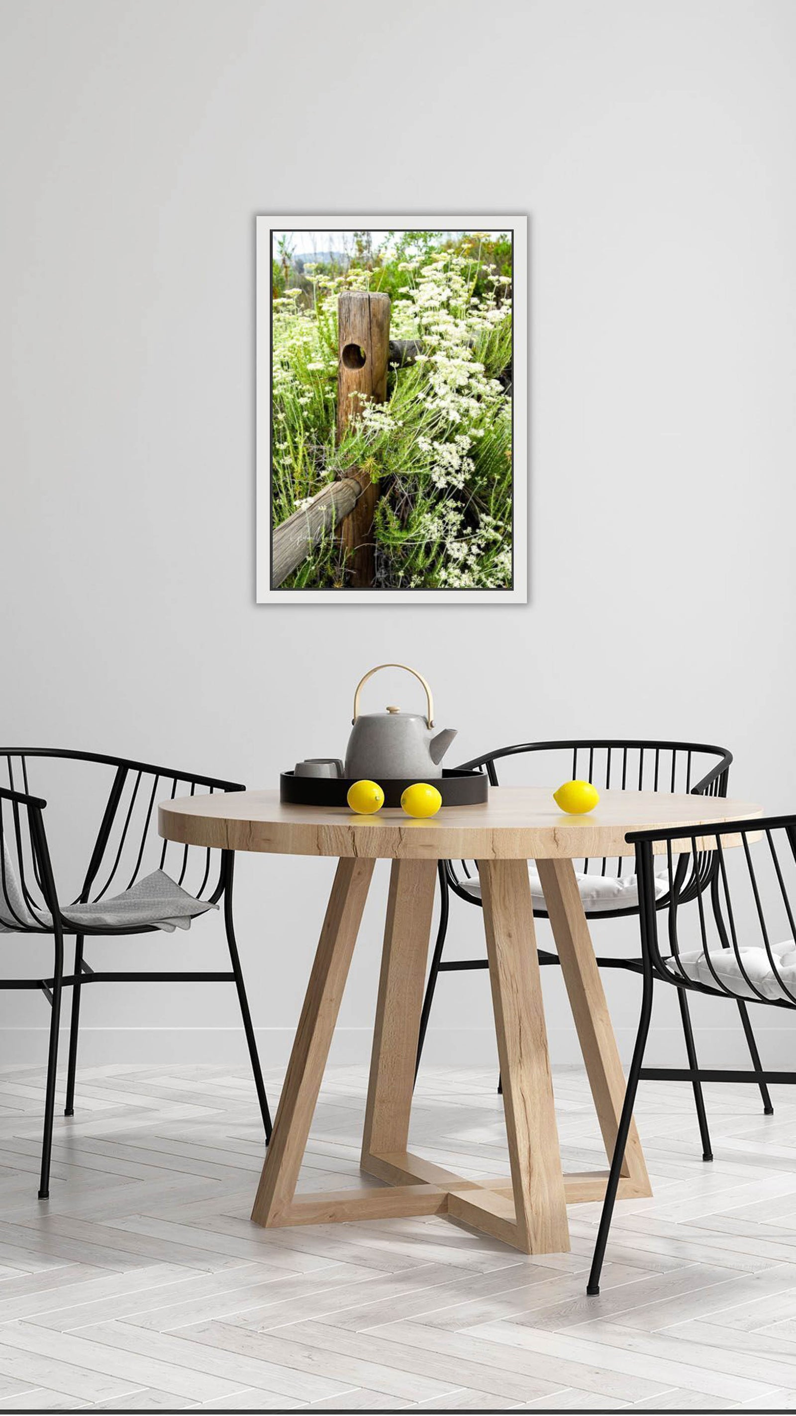 White Flowers Along Fence Posts